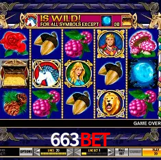 663bet Rio de Janeiro - Bonus Terms